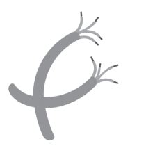 VODIČI - puna žica (P vodič), finožičana (F vodič), koaksijalni, PP00 kabeli...